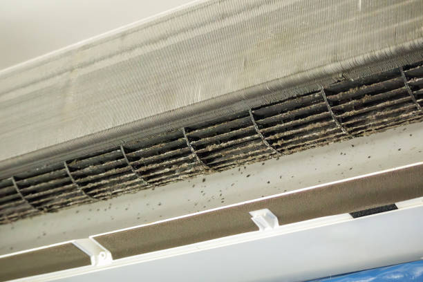 Best Residential Air Duct Cleaning  in Hobbs, NM